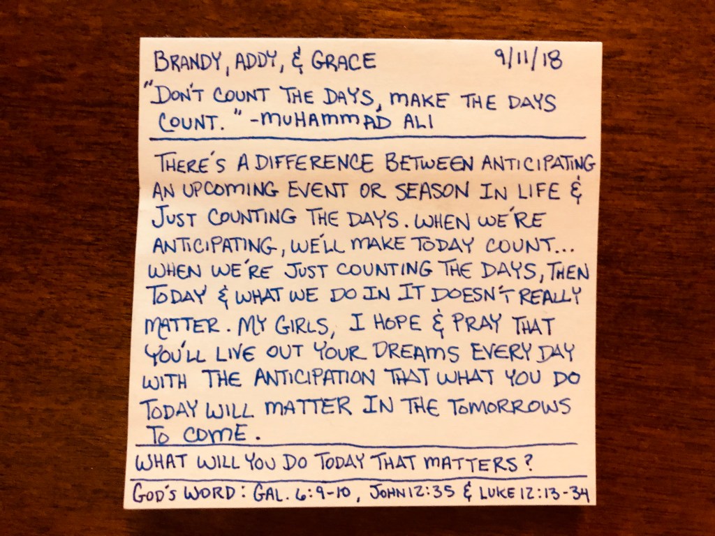 Don't Count The Days, Make The Days Count - Muhammad Ali
